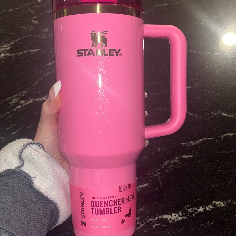 Stanley Wicked Cup